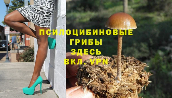 стафф Киреевск
