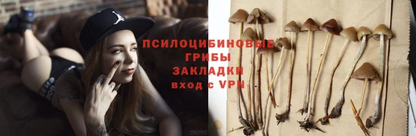 соль ск Кинешма
