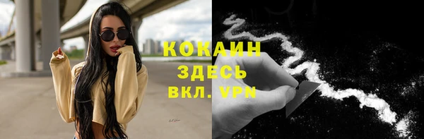 стафф Киреевск