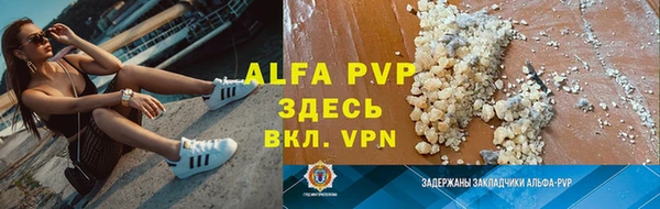 стафф Киреевск
