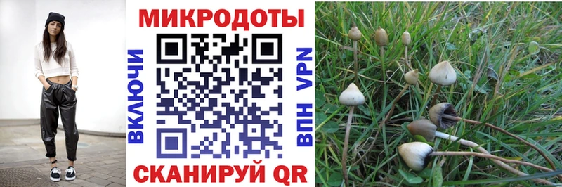 Галлюциногенные грибы ЛСД  сколько стоит  OMG зеркало  Моршанск 
